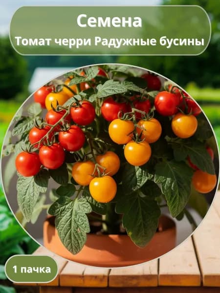Томат черри Радужные бусины, семена 10 шт