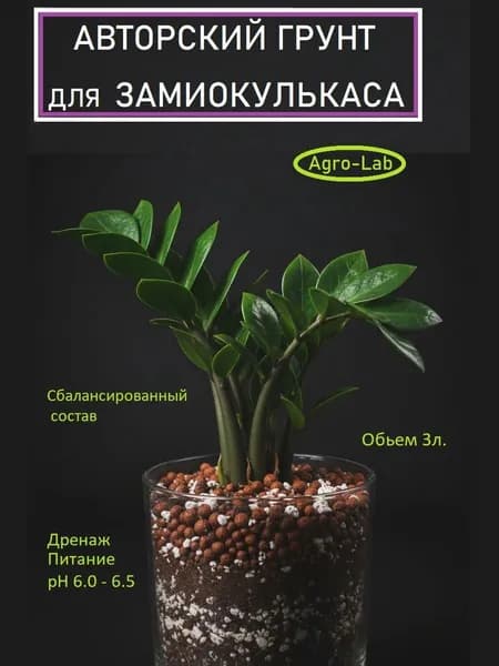 Грунт для Замиокулькаса 3 литра