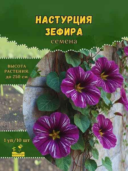 Настурция "Зефира" семена, 1 пачка