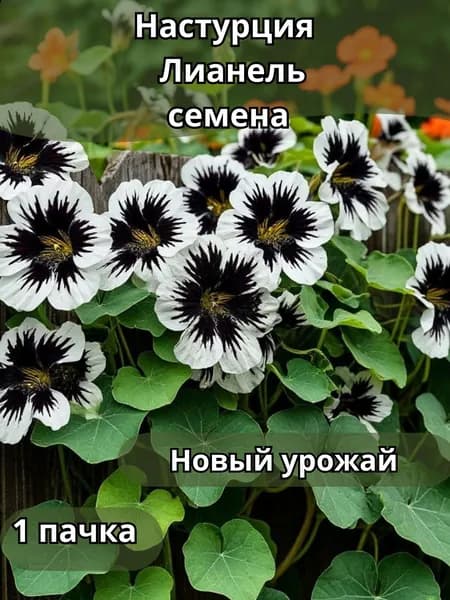 Настурция Лианель, семена 10шт