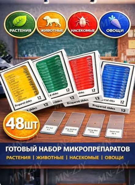 Готовый набор микропрепаратов растений, насекомых и животных N48 для микроскопа, 48 шт.