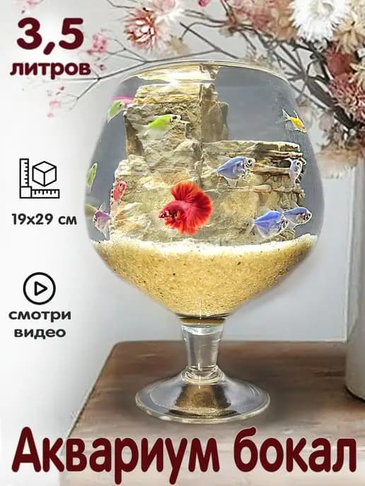 Аквариум бокал 3,5 литров для рыбок, петушка, круглый