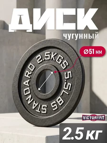 Диск 51 мм. чугунный окрашенный 2,5 кг (модель: D4)