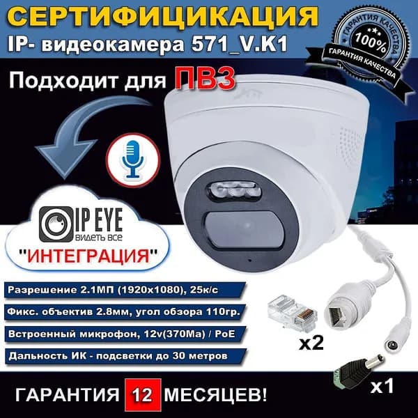 IP- видеокамера 571_V.K1 с разъемами, купольная