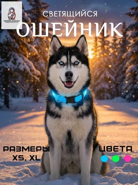 Ошейник для собак светящийся, Голубой