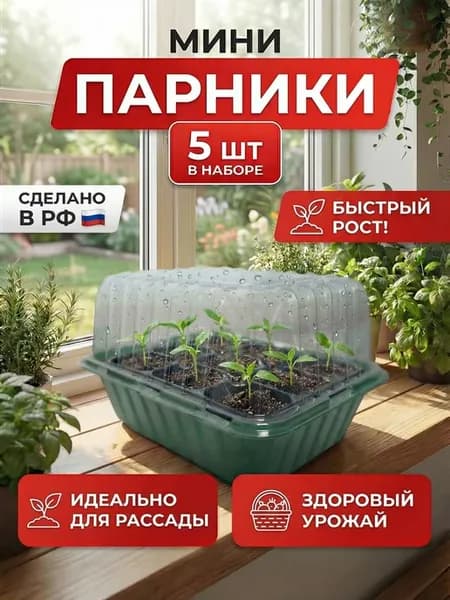 Мини парник для рассады с крышкой