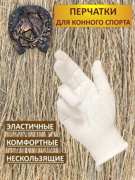 Одежда для верховой езды