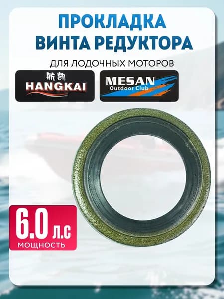 Прокладка винта редуктора для лодочного мотора HANGKAI MESAN 6.0 л.с/прокладка винта редуктора 6.0