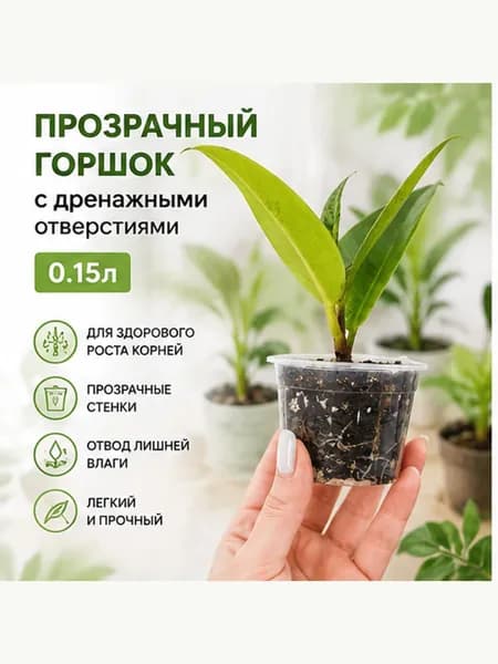 Горшок сетчатый 0.17 л, 5.5 см, 10 шт, цвет прозрачный