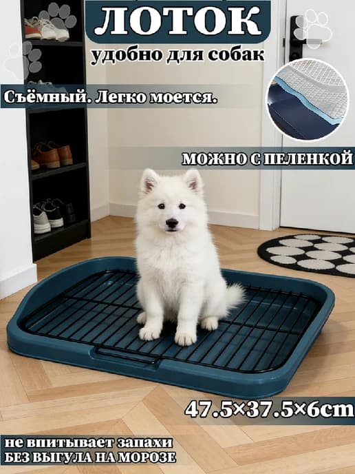 Лоток собачий с пеленкой
