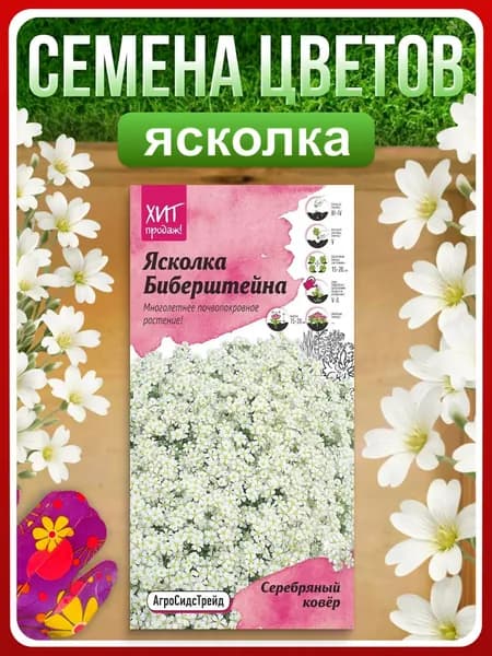 Семена Ясколка "Серебряный ковер", 0,1 г, многолетние цветы, для дачи и сада, для клумбы и бордюра, в открытый грунт и контейнеры