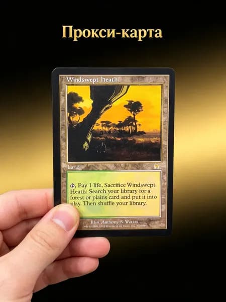 Ветром сдутая пустошь (Windswept Heath) MTG