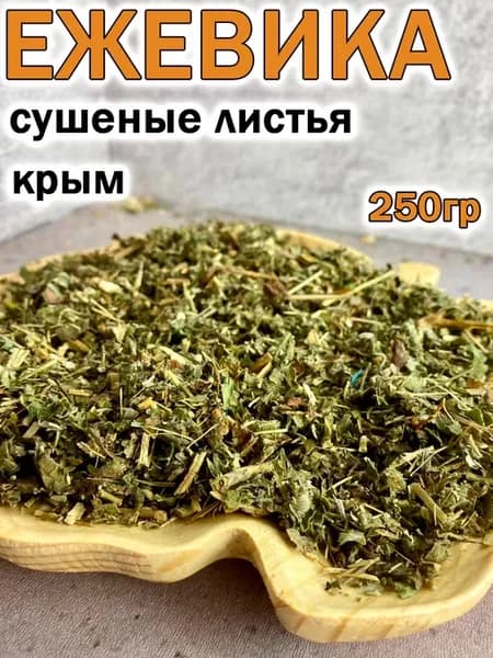 Листья ежевики