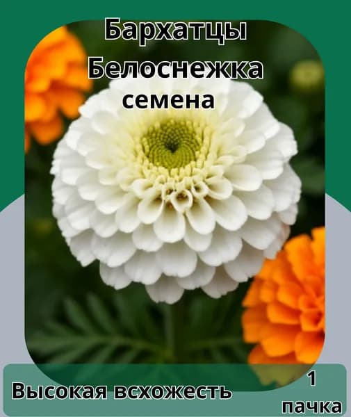 Бархатцы Белоснежка, семена 10 шт