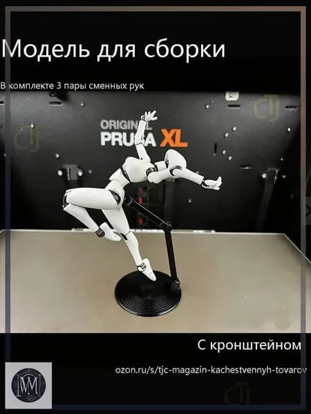 Модели анатомии человека подходят для рисования и зарисовки эскизов. Суставы подвижны. Требуется самостоятельная сборка.С типом кронштейна.