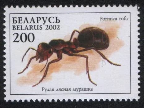 Беларусь 2002 Фауна Беларуси - Муравьи, марка Красный древесный муравей (Formica rufa) (MNH)