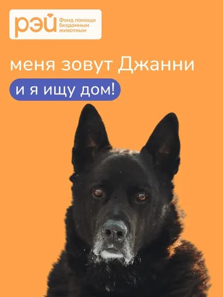Помочь Джанни найти дом