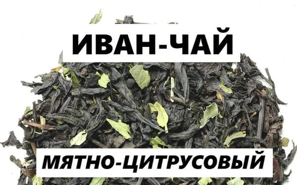 Иван-чай мятно-цитрусовый