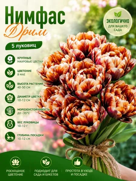 Тюльпаны луковицы Нимфас Дрим 5шт