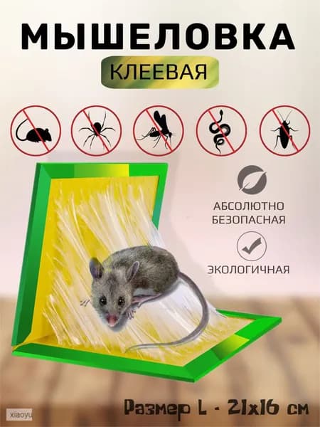 Мышеловка 21х16