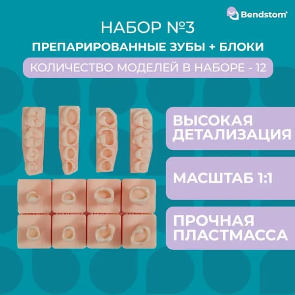 Набор №3 препарированные зубы + жевательные блоки для отработки мануальных навыков / стоматологические модели для реставрации