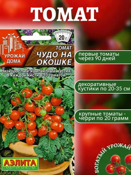 Томат "Чудо на окошке"