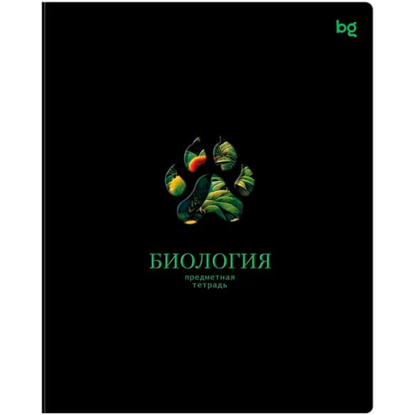 BG Тетрадь, 1 шт., листов: 48
