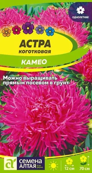 Семена Астра Камео коготковая (0,3 гр) - Семена Алтая
