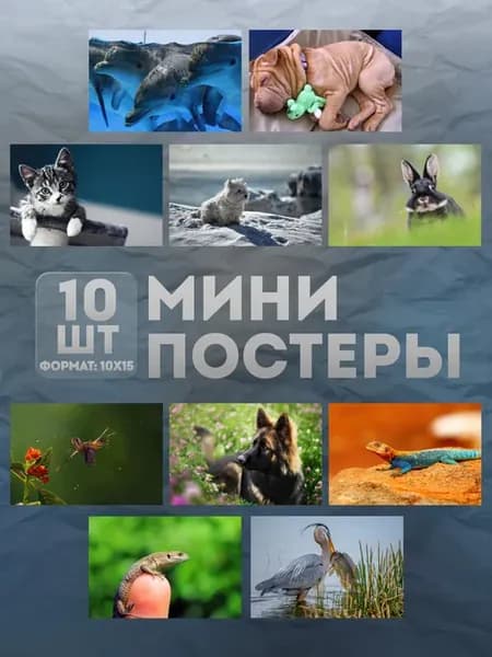 Мини постеры (набор) «Животные» 10 шт
