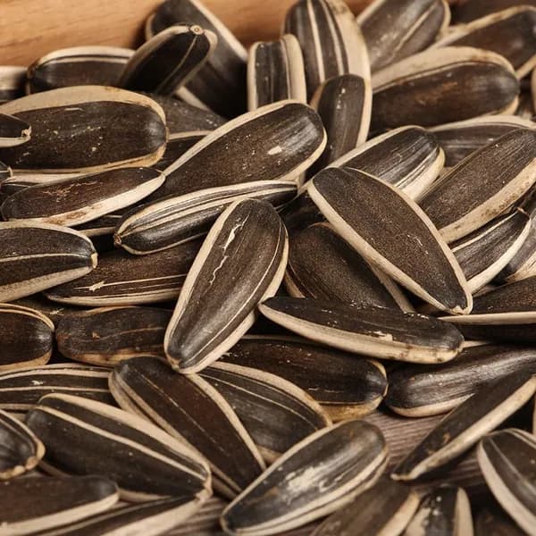 Семена подсолнуха натурального вкуса, свежие крупные семена из Внутренней Монголии, жареные орехи для повседневного отдыха