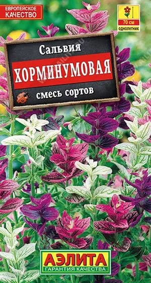 Семена Сальвия Хорминумовая, смесь сортов ,Агрофирма Аэлита