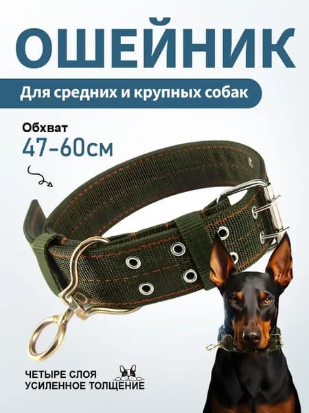 Ошейник
