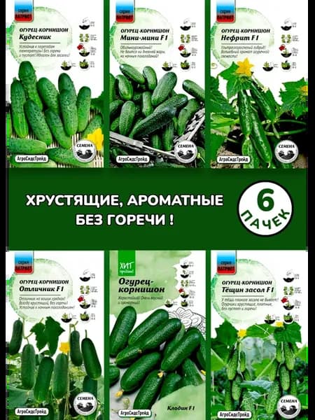 Огурец - Корнишон -- Патриот 6 сортов