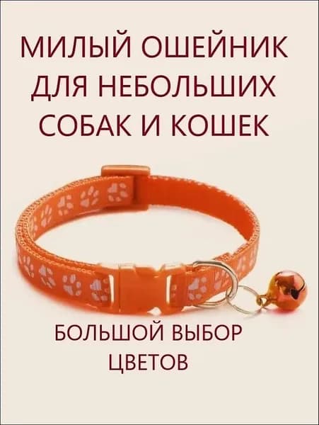 Ошейник для кошек и собак мелких пород с колокольчиком. Оранжевый.