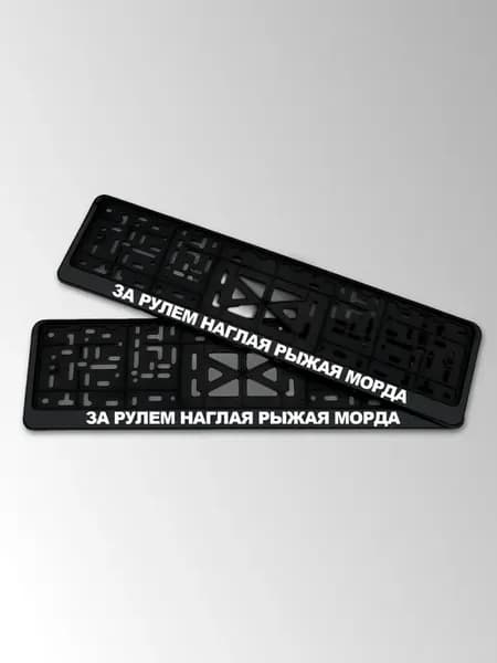 Номера машины с надписью За рулем наглая рыжая морда