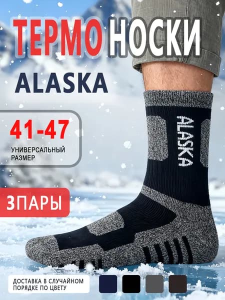 Носки мужские, 3 пары