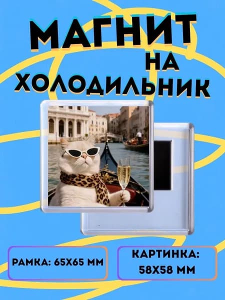 Магнит на холодильник Кот с шампанским на лодке