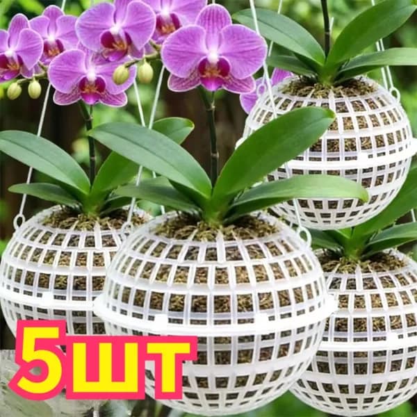 Кашпо, 5 шт, цвет слоновая кость