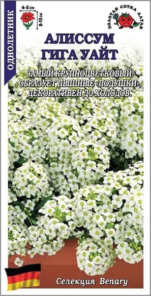 Алиссум Гига Уайт /Сотка/ 0,01 г/*