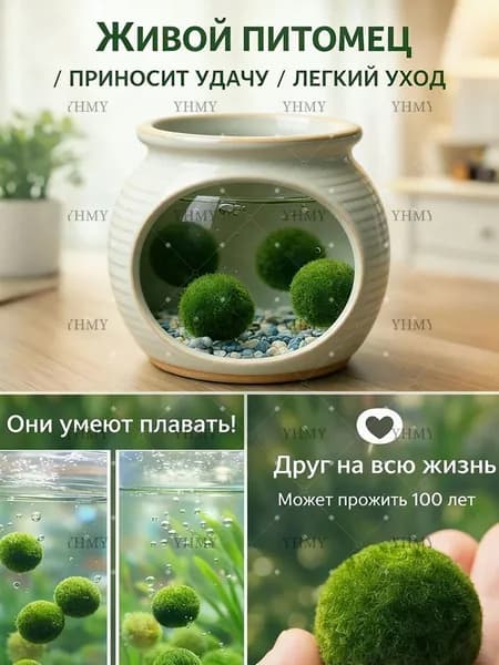 Живые водорослиНабор 4 шт,Натуральный мох шарики для аквариума, Символ удачи и любви