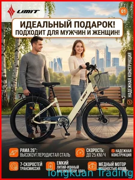 Электровелосипед 2025, 250 Вт