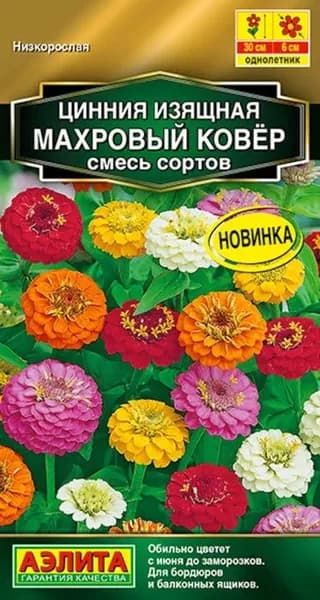 Семена Цинния Махровый Ковер, смесь (0,3 г) - Аэлита. Низкорослая, бордюрная, махровая, для клумбы, балкона, вазона