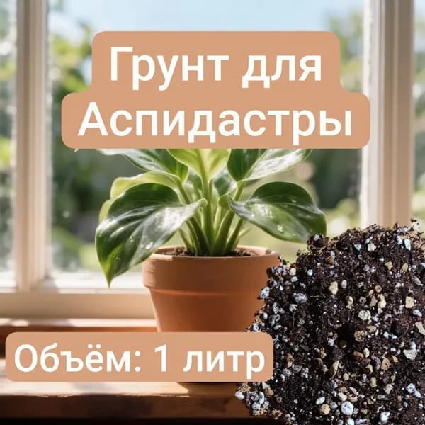 Авторский грунт для Аспидистры 1 литр