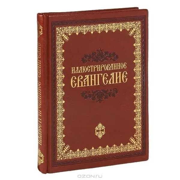 Иллюстрированное Евангелие( кожа)