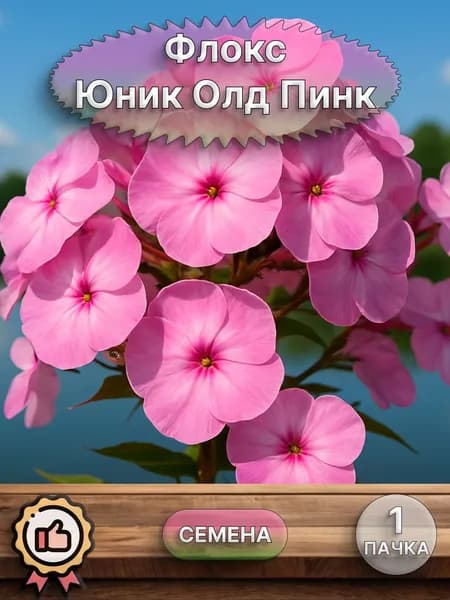 Флокс Юник Олд Пинк, семена 10 шт.