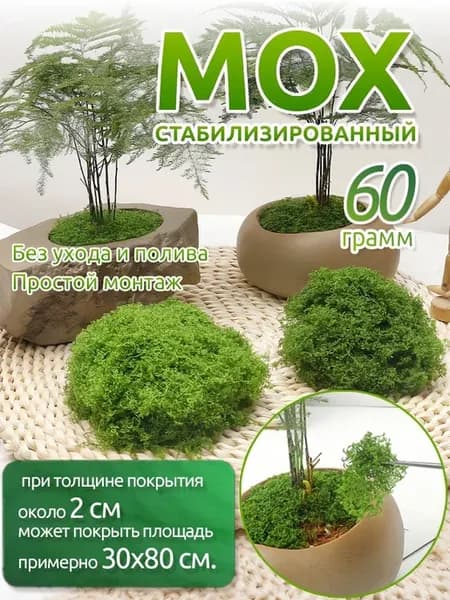 Стабилизированный зелёный мох, толщина 2 см, 60 г