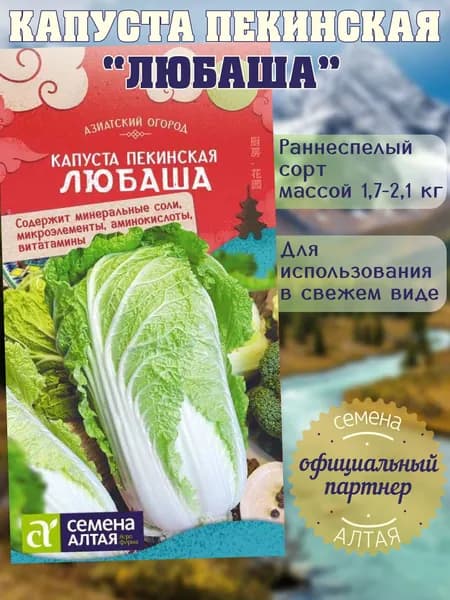 Капуста Пекинская Любаша / Семена Алтая 0,3г