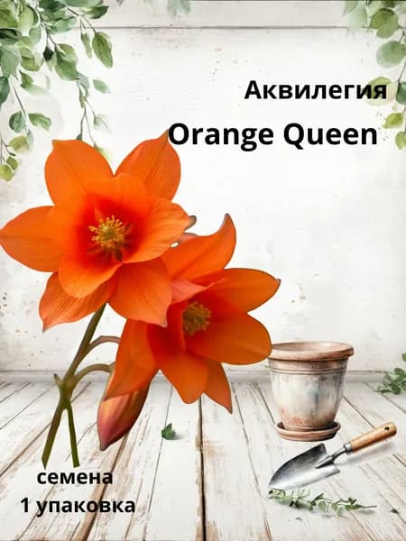 Аквилегия Orange Queen, семена, 10 шт