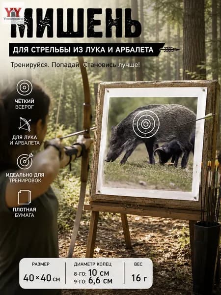 Мишень для стрельбы