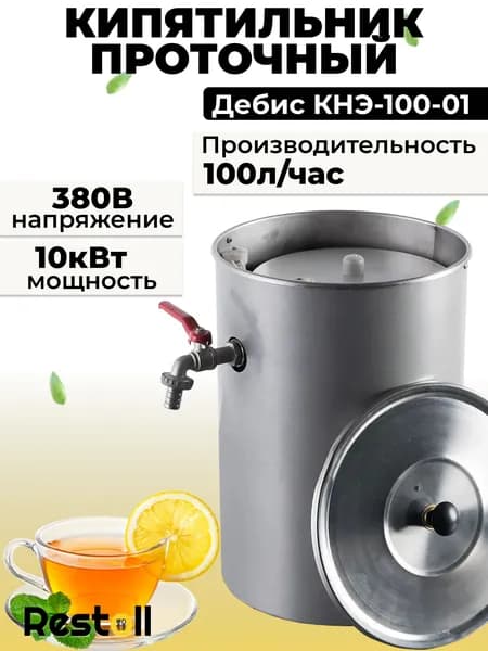 Кипятильник проточный Дебис КНЭ-100-01, нержавеющая сталь, 100 литров